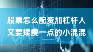 股票怎么配资加杠杆人又要矮瘦一点的小混混